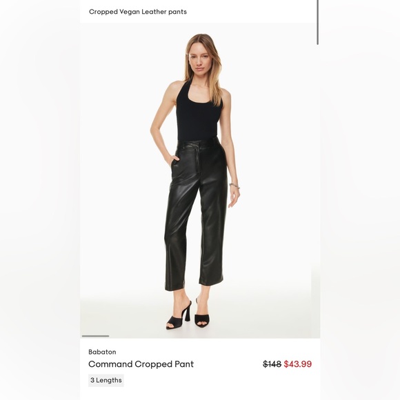 Aritzia Babaton pleather pants - Picture 5 of 5